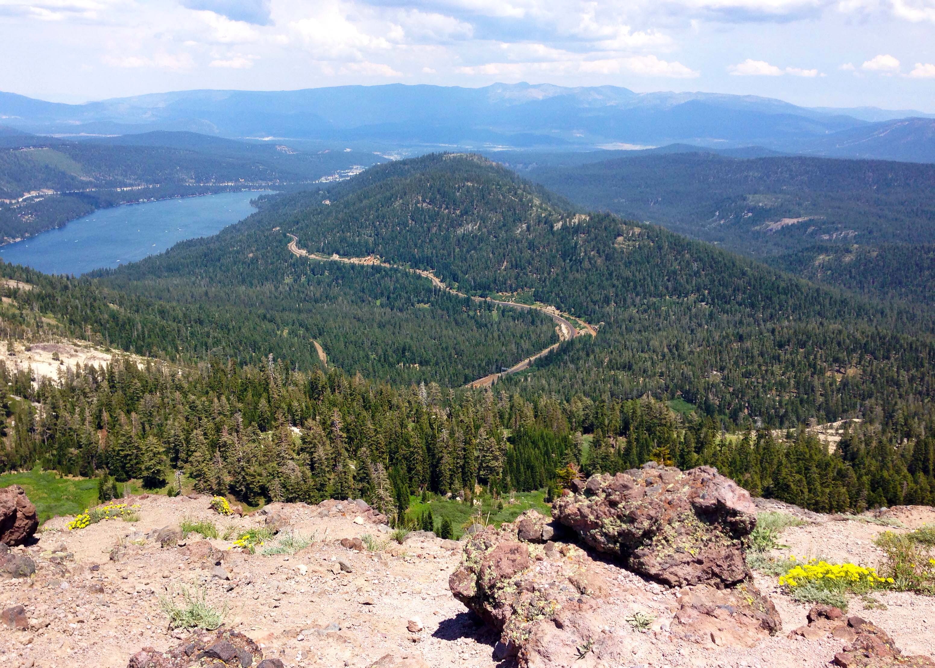 フォレストヒル