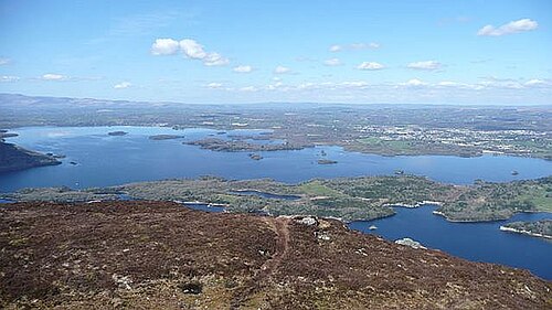 ボールヤートニー