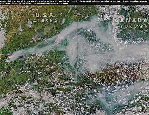 ホワイトホース