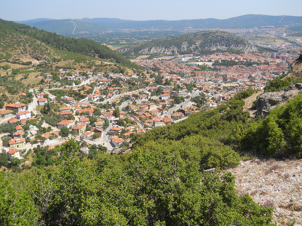 ムーラ・メルケズ