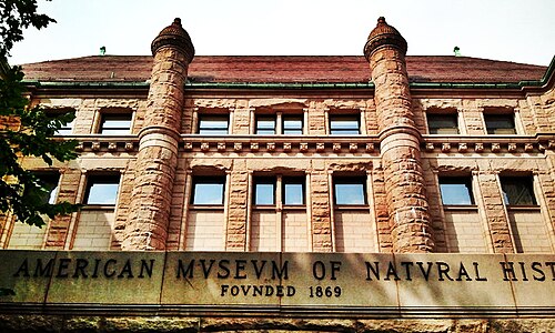 アメリカ自然史博物館