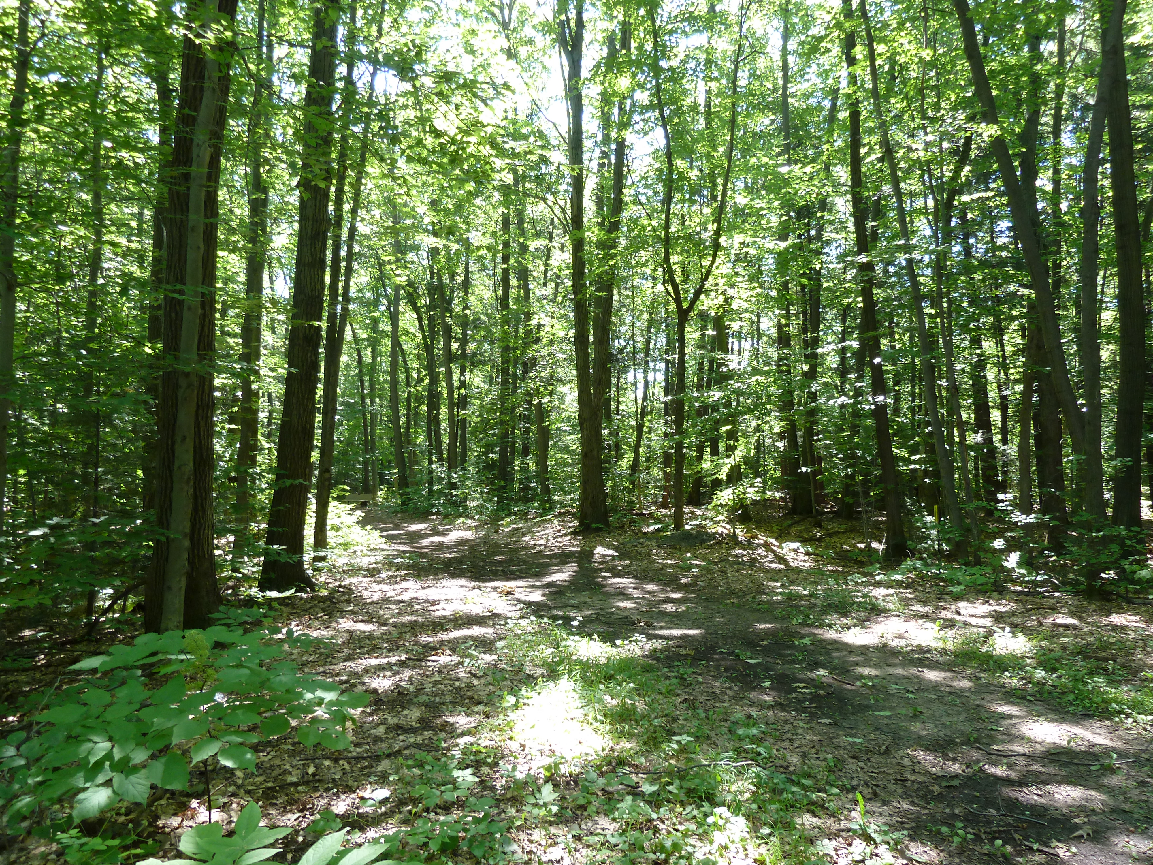 サン＝タンヌ＝ド＝ベルビュー