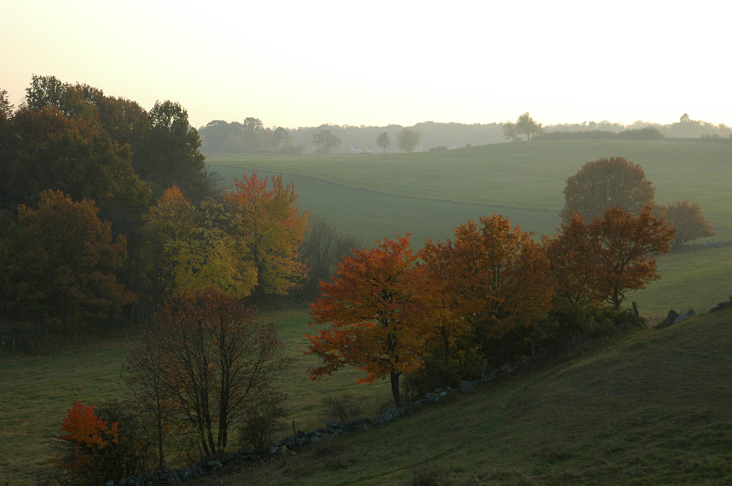 サント・オーロフ