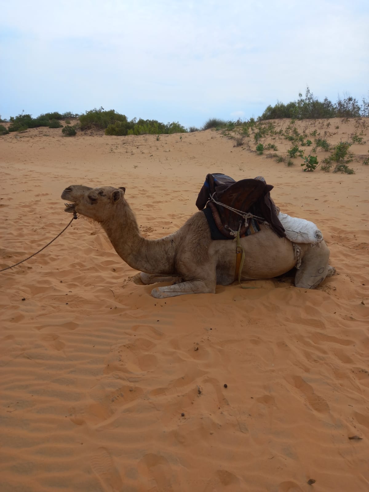ロンプル・シュル・メール