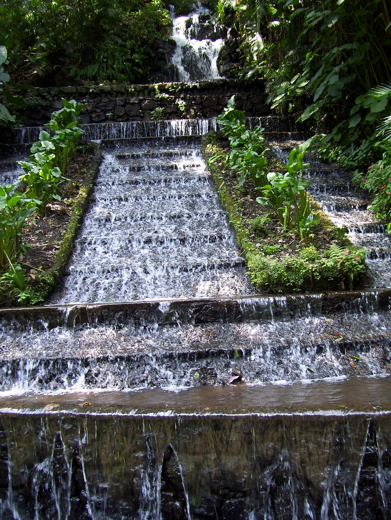 ミチョアカン州