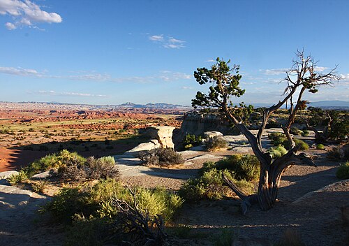 キャッスル・バレー