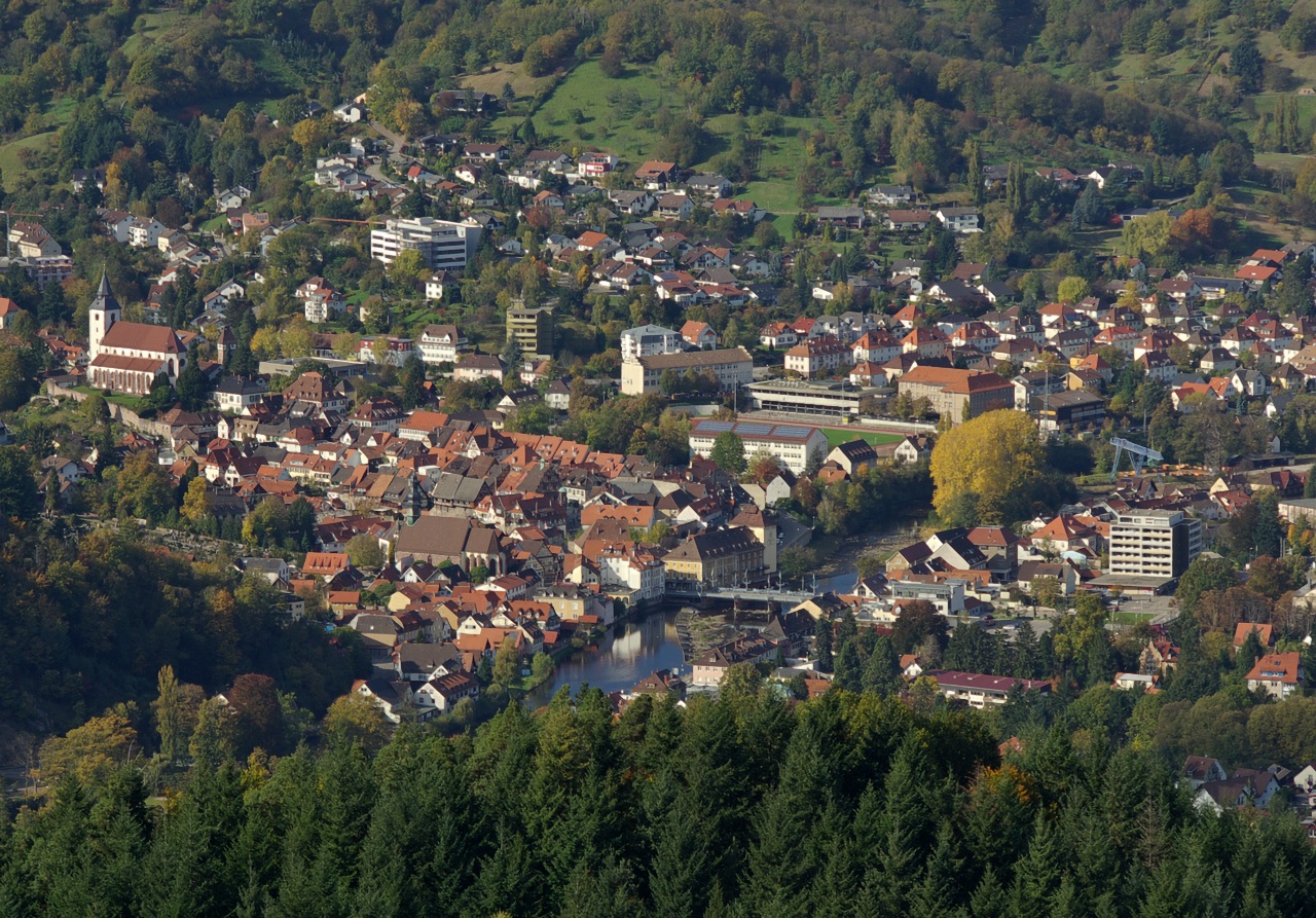 ゲルンスバッハ