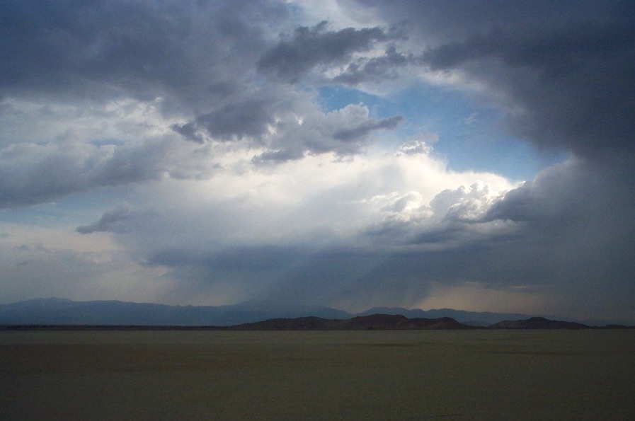 カリフォルニア州