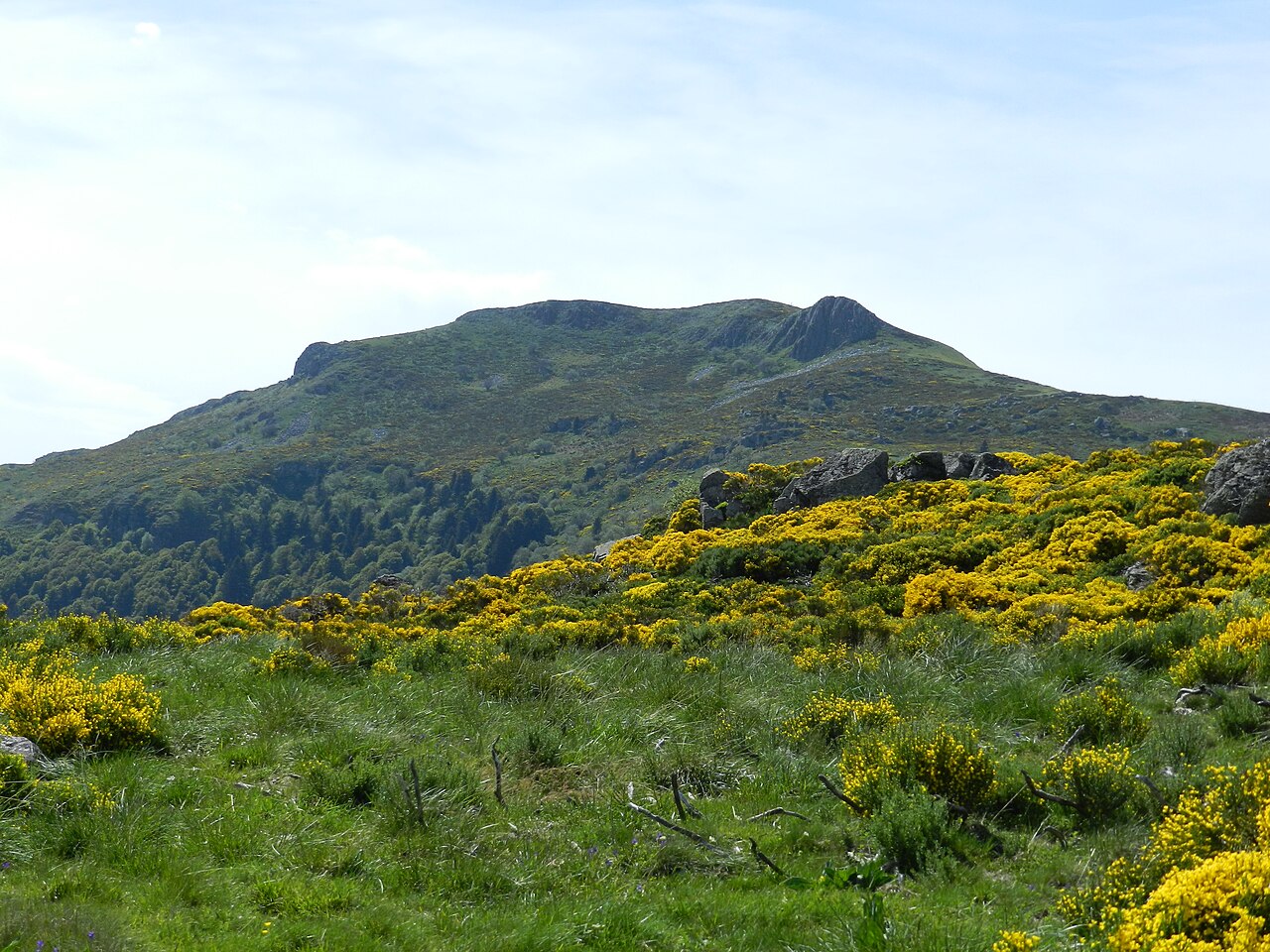 ラヴェシエール