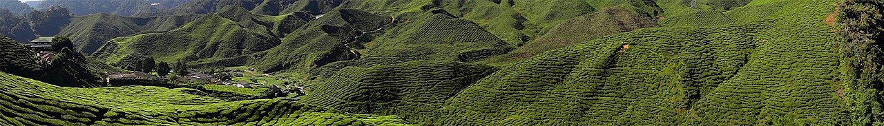 クアラ・クラウ